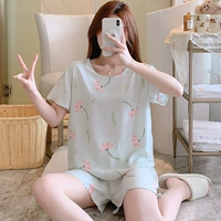 HDX Dual Short-TT5004-Women