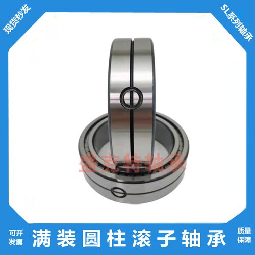 双列满装圆柱滚子轴承SL045020