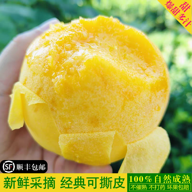 顺丰包邮陕西黄水蜜桃水果桃子新鲜秋葵锦绣脆甜黄毛桃新鲜当季