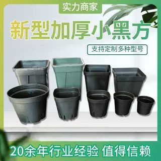 小黑方塑料方盆育苗托架14方16方18方育苗花盆控根盆韩式圆盆 9方