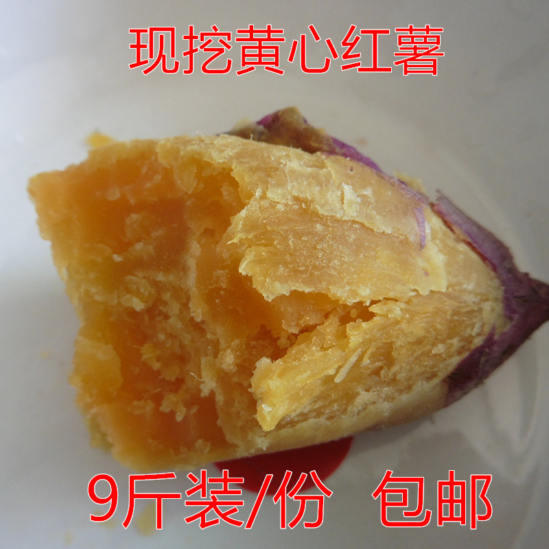 9斤装新鲜红薯红皮黄心薯现挖甜面地瓜烧烤红心番薯菜都潼南红苕