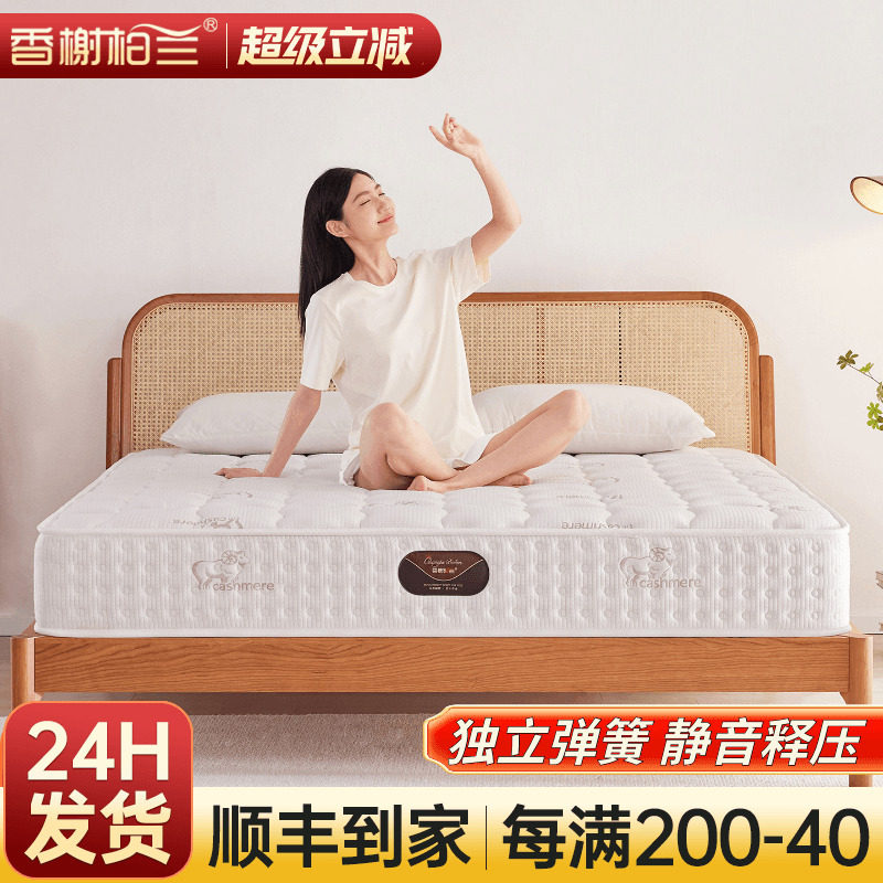 床垫家用卧室席梦思乳胶椰棕儿童袋装独立静音弹簧床垫厚20cm公分