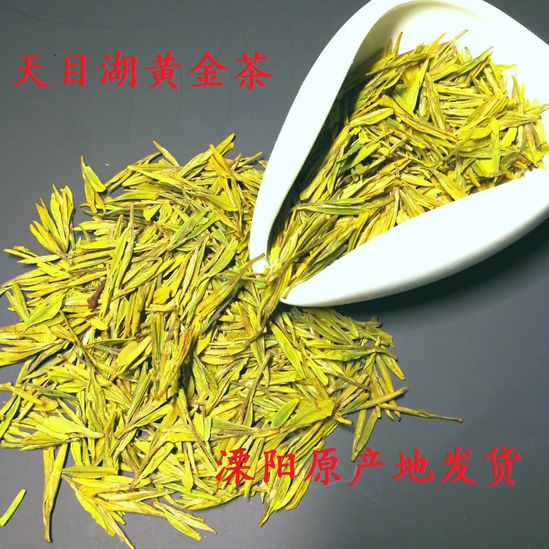 溧阳天目湖黄金白茶 2024年新品绿茶叶100g散袋罐装 特级黄金芽