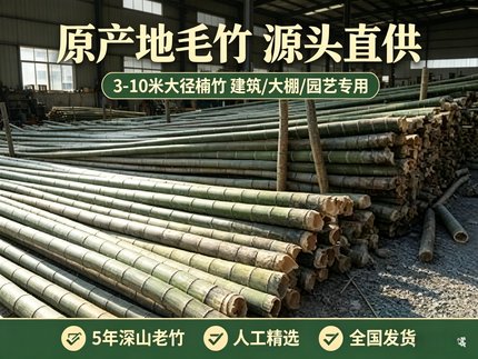 原产地毛竹粗竹竿园竹野生老竹加粗大竹竿子楠竹建筑大棚3-10米长