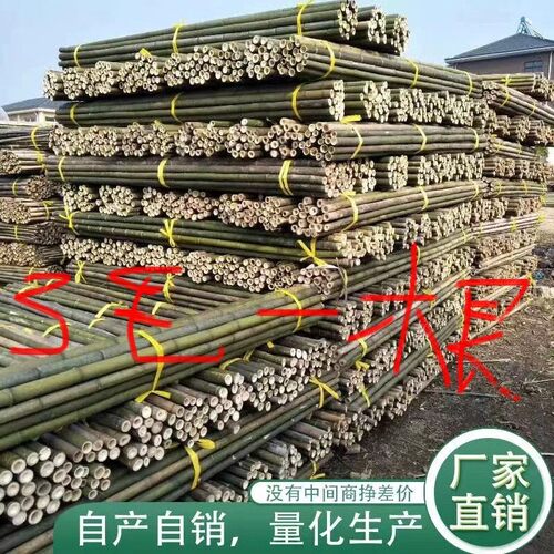 竹竿大棚菜园黄瓜豆角爬藤支撑架