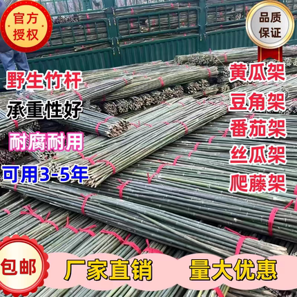 小竹子搭架菜园黄瓜豆角番茄架杆竹篱笆栅栏竹竿爬藤架支撑支架杆