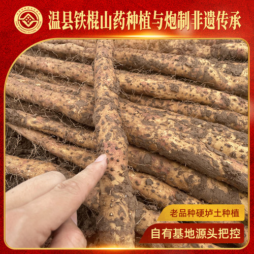 非遗传承人温县道地怀药