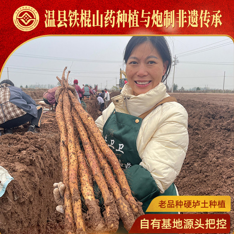 牛卫卫非遗垆土铁棍山药5斤正宗河南焦作温县怀山药产地直发