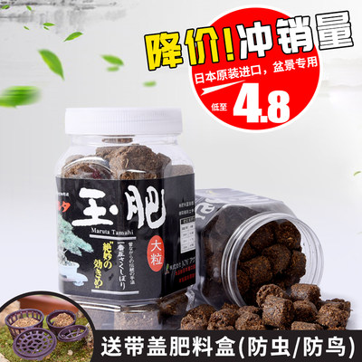 玉肥盆景专用肥料日本原装散装颗粒缓释肥特价肥料送玉肥盒肥料盒 虎窝淘