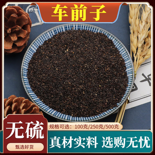 车前子中药材车前草籽车前子车前籽新货车前草正品天然无硫500g克