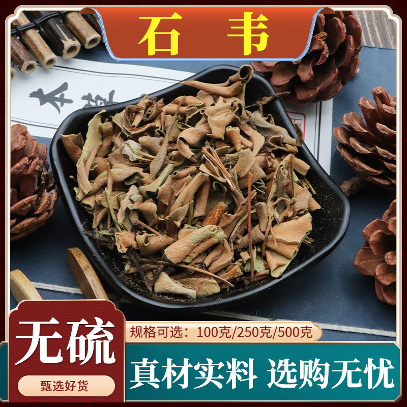 石韦中药材小叶石韦草石韦茶石苇叶石伟草药石苇正品包邮500g克
