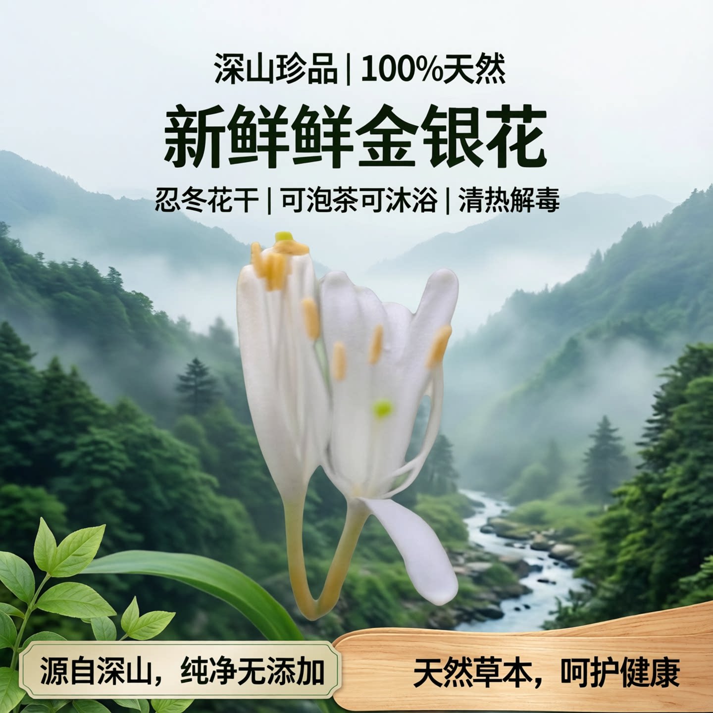 野生新鲜金银花茶泡茶