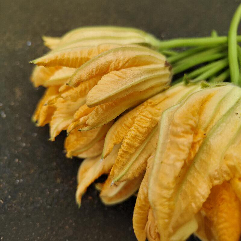 农家自种南瓜花新鲜现采保鲜发货