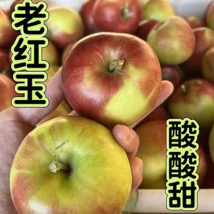 新鲜老树红玉苹果正宗东北老式 批发整箱 水果酸甜苹果酸青苹果应季