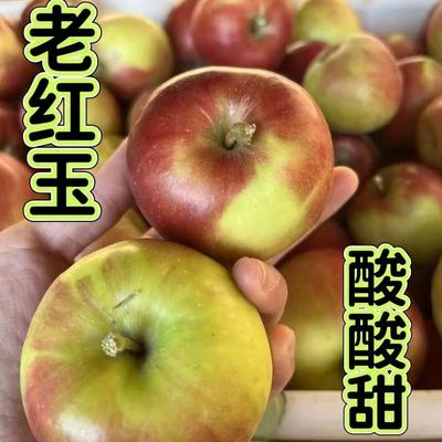 新鲜老树红玉苹果正宗东北老式水果酸甜苹果酸青苹果应季批发整箱