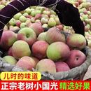 东北国光正宗苹果苹果酸新鲜水果红富士酸甜孕妇批发整箱当季 包邮