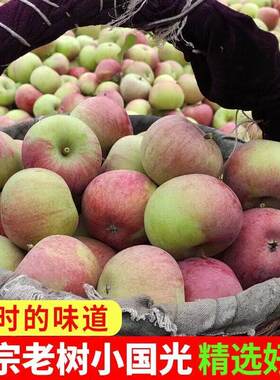 东北国光正宗苹果苹果酸新鲜水果