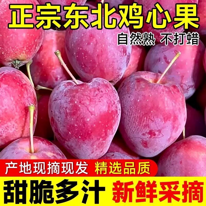 正宗东北鸡心果新鲜酸甜脆小苹果当季应季苹果海棠鸡心果特产平果