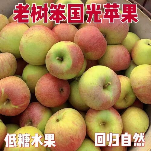 正宗小国光苹新鲜酸甜口新鲜果酸甜新鲜小果光瓦房店