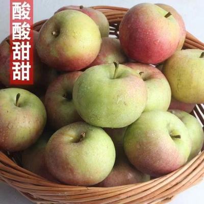 东北老树怀旧国光苹果苹果酸