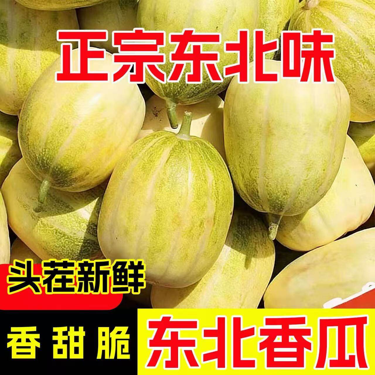 农家东北香瓜京密小甜瓜新鲜水果时令应当季整箱非白糖罐面蜜瓜