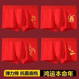 结婚新年鸿运平角裤 纯棉本命年大红色抗菌透气四角裤 批发 内裤 男士
