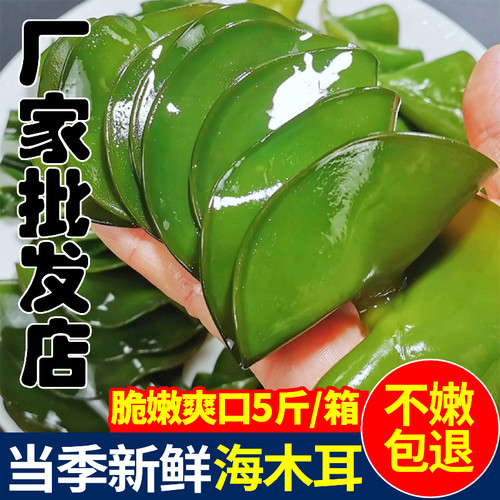 新鲜海木耳海灵芝海白菜耳朵5斤