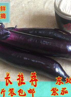 东北特产紫黑农家种植包邮茄子