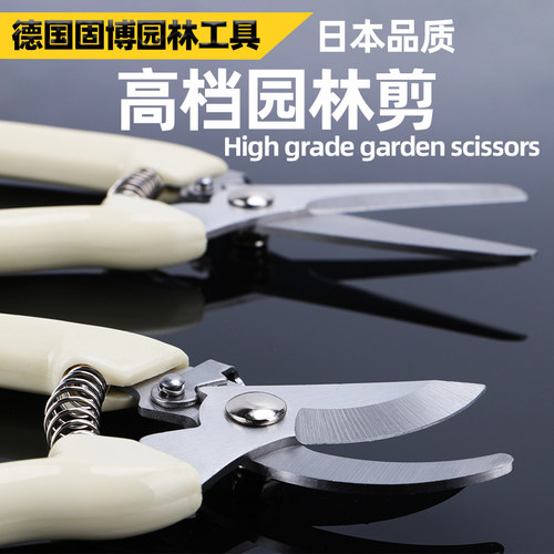 园艺园林果树剪刀修剪树枝盆栽神器家用绿化剪刀枝修剪刀专用工具