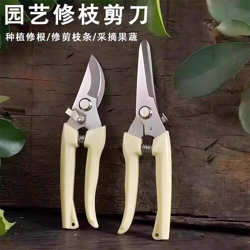 园艺园林果树剪刀修剪树枝盆栽神器家用绿化剪刀枝修剪刀专用工具
