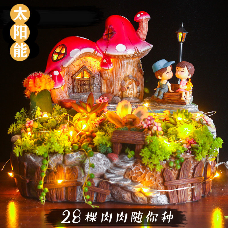 室内卡通发光多肉植物组合花盆