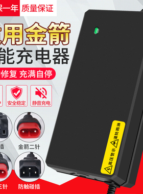 适用金箭电动车充电器48V12AH60v20ah72v电瓶车铅酸电池石墨烯