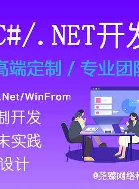 UI界面设计软件开发java程序编写python代码代做C#/.NET安装定制