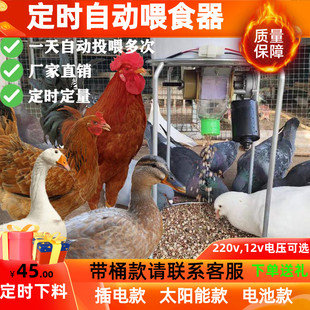 自动喂食器鸽子定时定量远程自动投料机太阳能鸡鸭鹅宠物投食神器