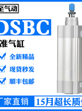 标准气缸DSBC-125-25/-50/-75/-100/-125/-150/-175/-200-PPV-A