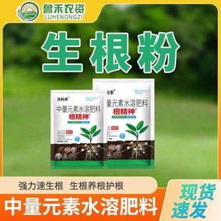 沃利丰新品生根粉生根剂快速生根烂根死苗扦插弱苗植物通用水溶肥