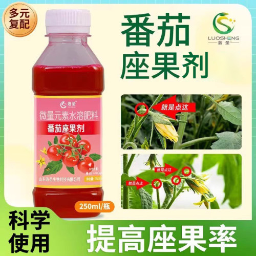 洛圣番茄座果灵坐果剂西红柿点花提高坐果率科学点花柄营养肥料