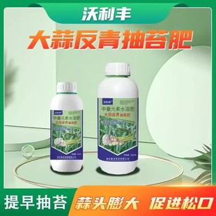 沃利丰大蒜返青抽苔肥出苔齐蒜头大蒜苔粗专用中量元素水溶肥料