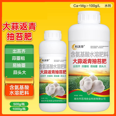 科沃华大蒜返青抽苔肥出苔齐蒜头大蒜苔粗专用含氨基酸水溶肥料