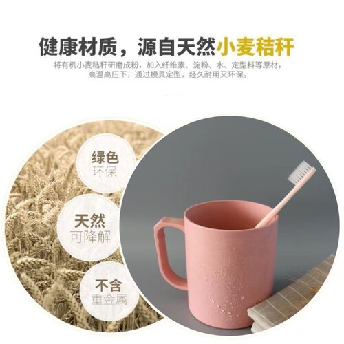 新款ins高颜值超大容量日系小清新小麦节秆漱口杯水杯儿童通用款