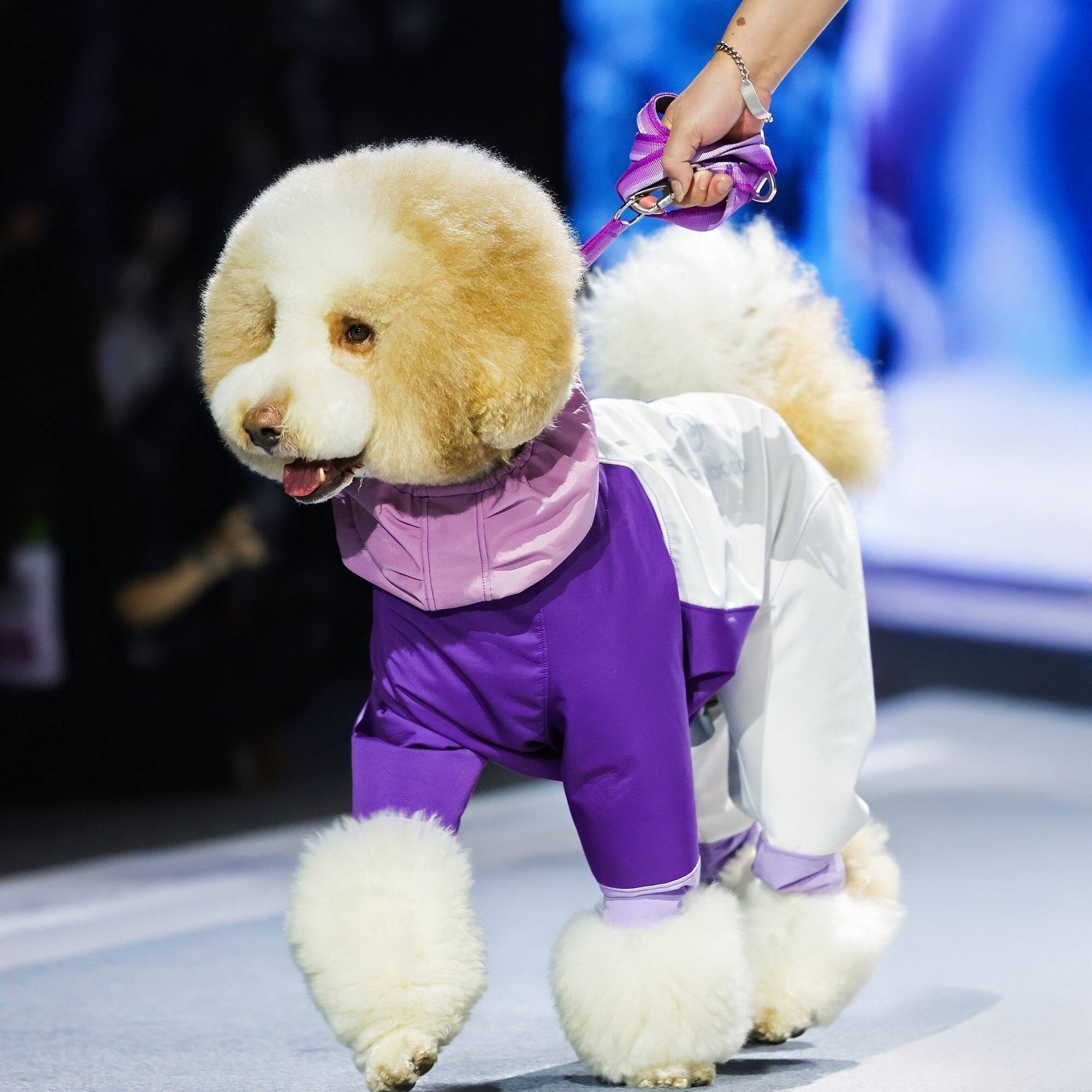 狗狗加绒滑雪服防风保暖