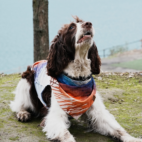 DOGADOGO艺术家联名系列口水巾