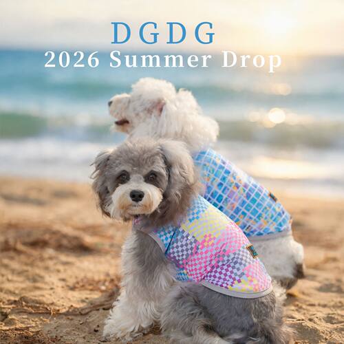 DGDG狗狗凉感背心2026新款 透气降温凉凉衣 小狗速干户外