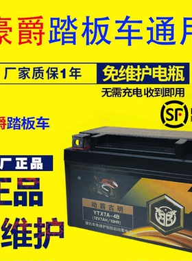 摩托车电瓶YTX7A-4B免维护豪迈豪.爵悦星125踏板配件蓄电池12V7AH
