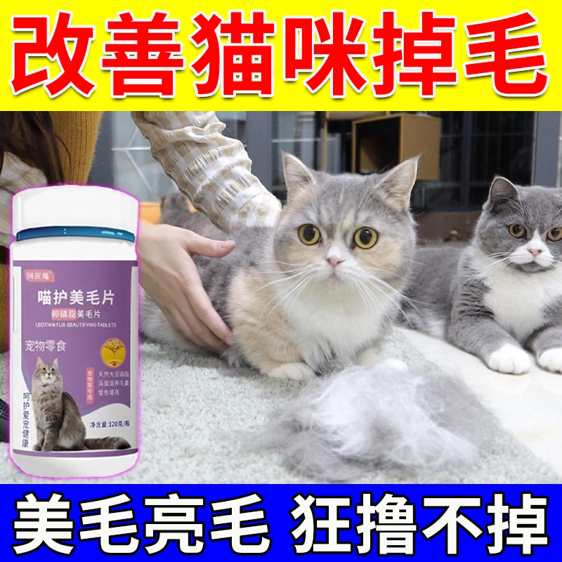 改善猫咪掉毛小猫大猫通