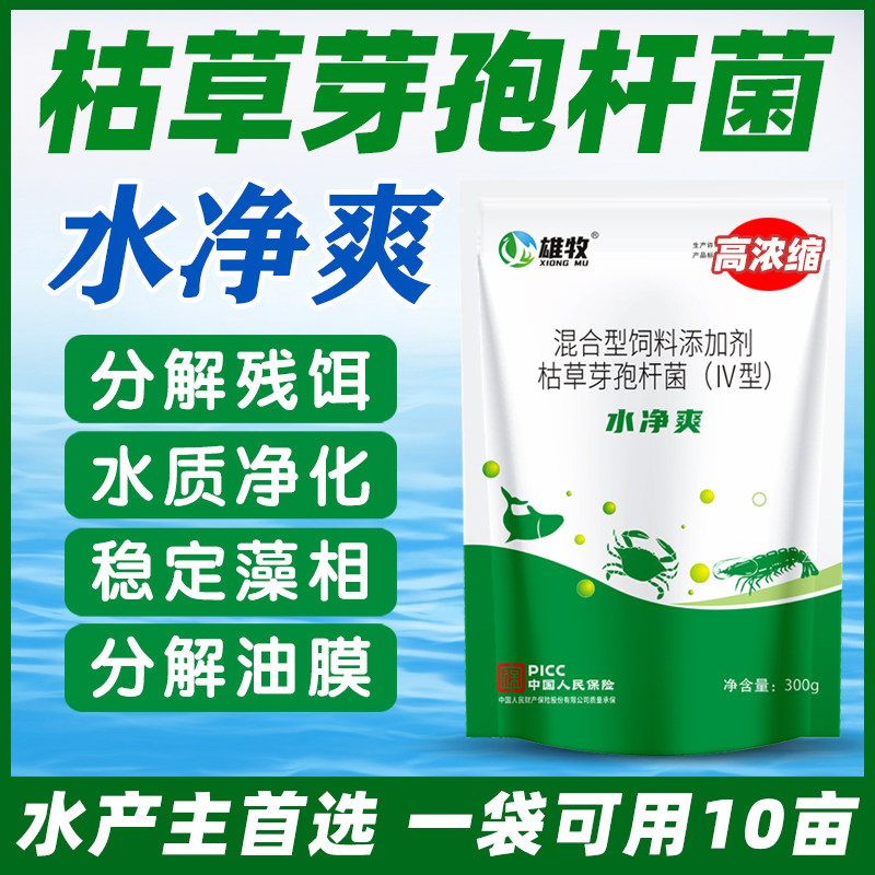 雄牧水净爽芽孢杆菌鱼塘