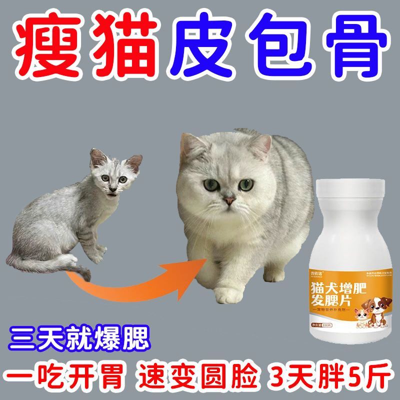 猫咪增肥发腮片猫狗不吃