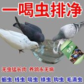 鸽蟲净驱毛滴虫球虫蛔虫驱虫药赛鸽信鸽肉鸽寄生虫全虫清鸟药大全