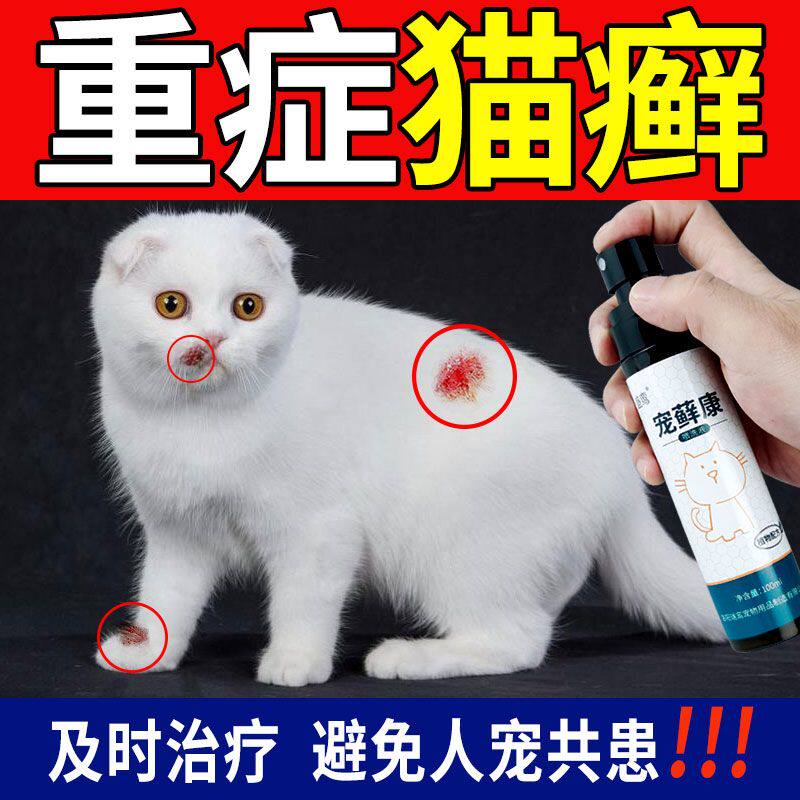 猫藓皮肤喷剂猫咪雾专用