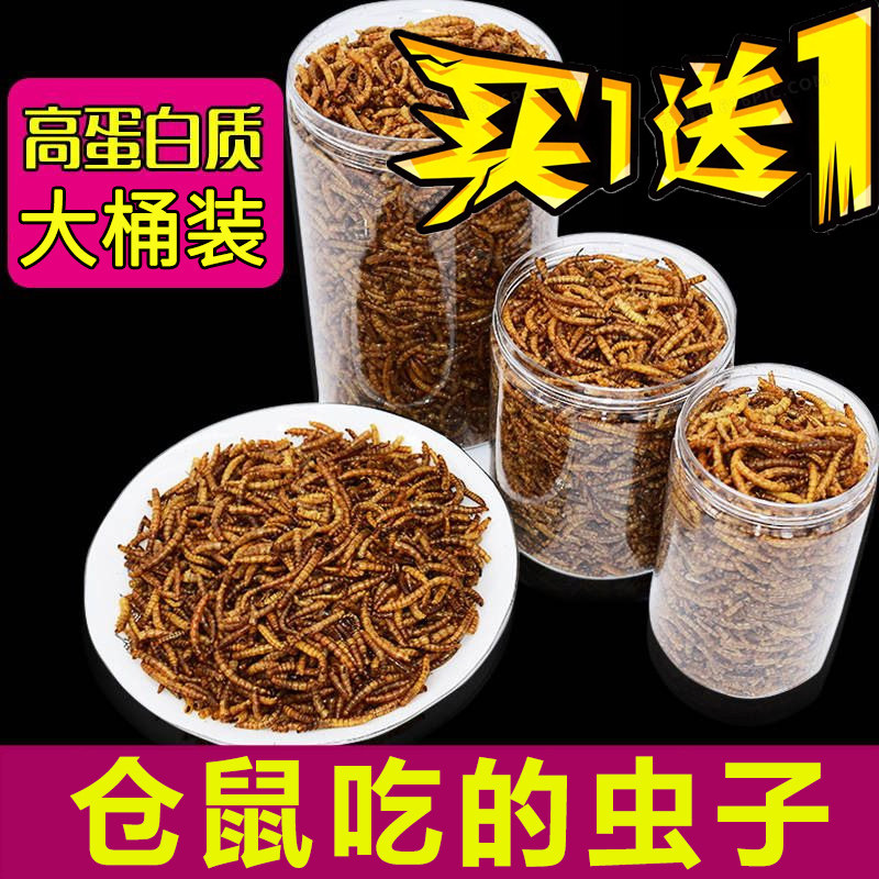 仓鼠吃的虫子面包虫干柯尔鸭零食